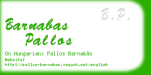barnabas pallos business card
